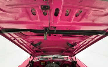 Unknown-Challenger-1972-Panther-Pink-Black-46