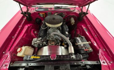 Unknown-Challenger-1972-Panther-Pink-Black-48