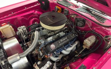 Unknown-Challenger-1972-Panther-Pink-Black-49