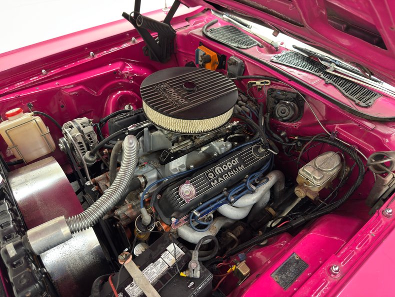 Unknown-Challenger-1972-Panther-Pink-Black-49