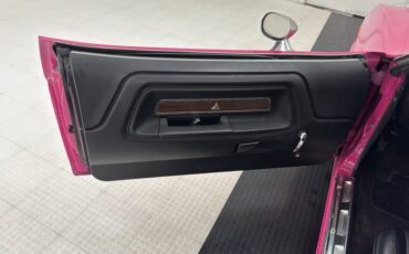 Unknown-Challenger-1972-Panther-Pink-Black-5