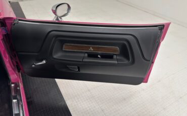 Unknown-Challenger-1972-Panther-Pink-Black-6