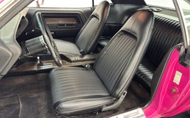 Unknown-Challenger-1972-Panther-Pink-Black-7