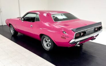 Unknown-Challenger-1972-Panther-Pink-Black-8