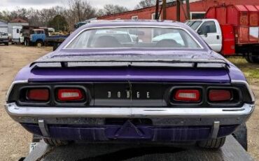 Unknown-Challenger-1972-Plum-Crazy-12