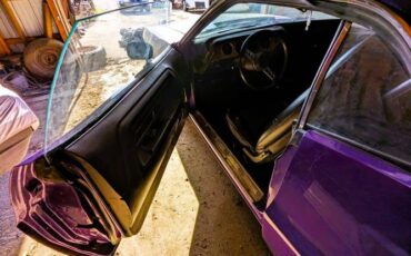 Unknown-Challenger-1972-Plum-Crazy-15
