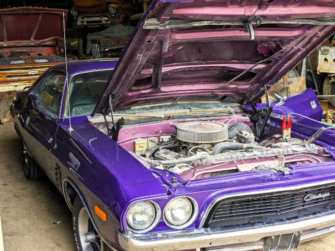 Unknown-Challenger-1972-Plum-Crazy-16