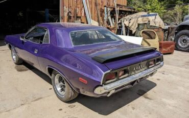 Unknown-Challenger-1972-Plum-Crazy-3