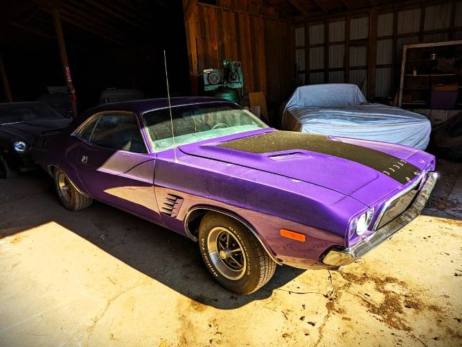 Unknown-Challenger-1972-Plum-Crazy-4