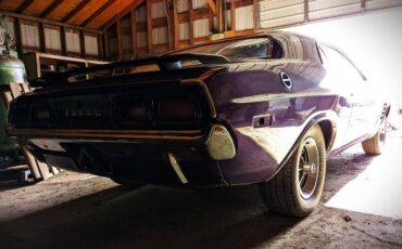 Unknown-Challenger-1972-Plum-Crazy-5