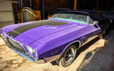 Unknown-Challenger-1972-Plum-Crazy-6