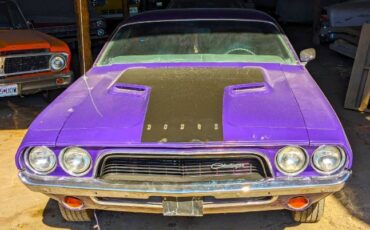 Unknown-Challenger-1972-Plum-Crazy-7