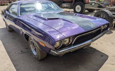 Unknown-Challenger-1972-Plum-Crazy-8