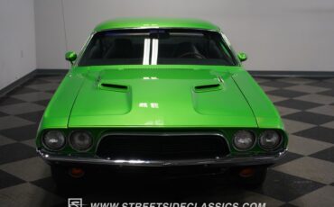 Unknown-Challenger-1974-Green-Black-24