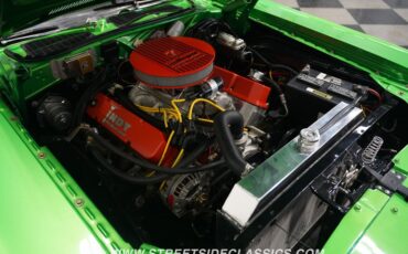Unknown-Challenger-1974-Green-Black-38