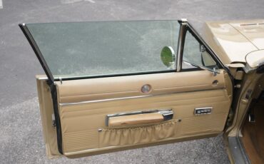 Unknown-Charger-1968-Medium-Gold-Gold-48