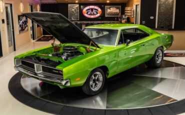 Unknown-Charger-1969-Snakeskin-Green-Black-10