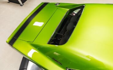 Unknown-Charger-1969-Snakeskin-Green-Black-27