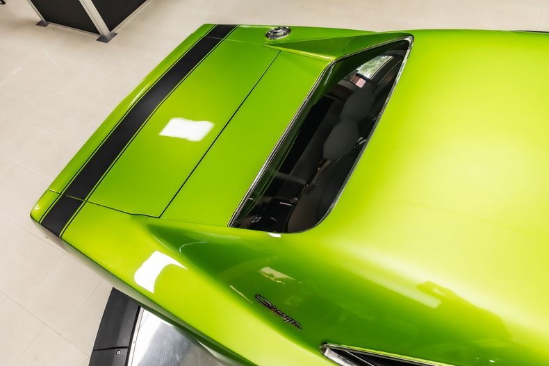 Unknown-Charger-1969-Snakeskin-Green-Black-27