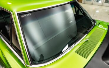 Unknown-Charger-1969-Snakeskin-Green-Black-28