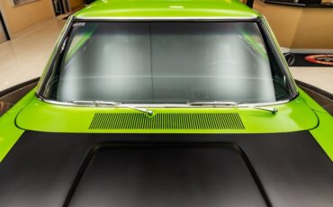 Unknown-Charger-1969-Snakeskin-Green-Black-29