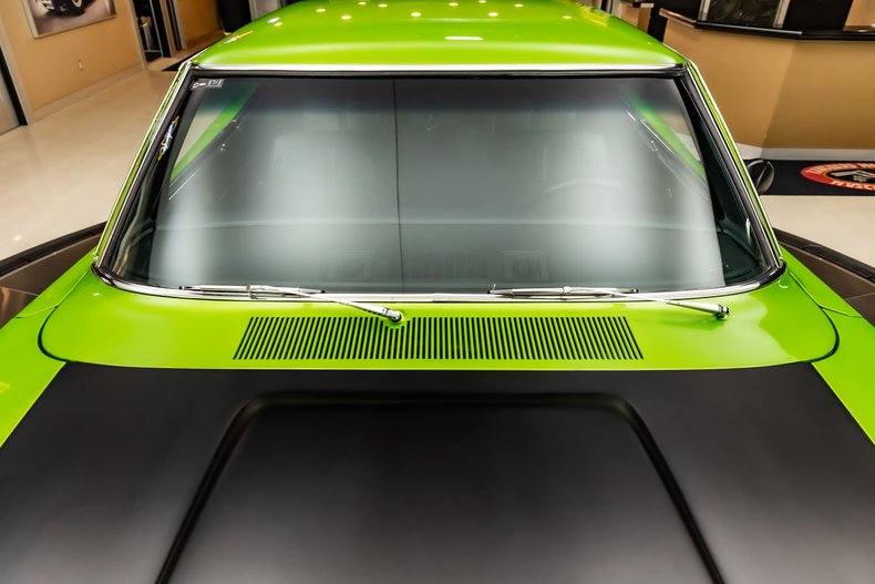 Unknown-Charger-1969-Snakeskin-Green-Black-29