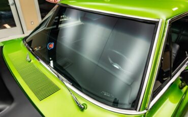Unknown-Charger-1969-Snakeskin-Green-Black-30