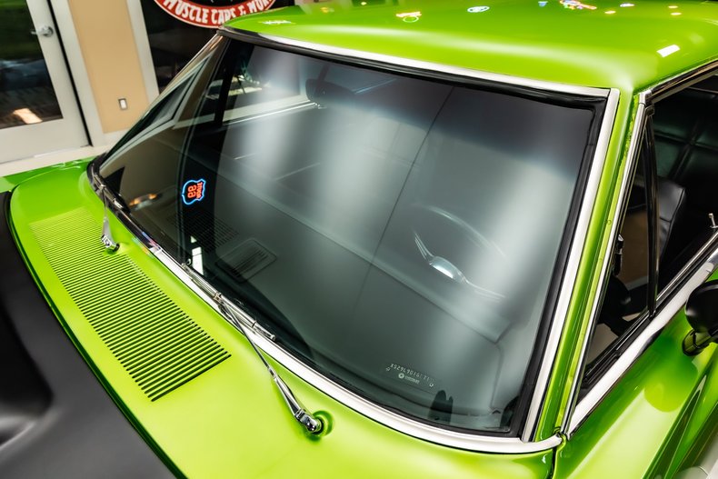 Unknown-Charger-1969-Snakeskin-Green-Black-30