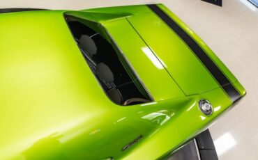 Unknown-Charger-1969-Snakeskin-Green-Black-33