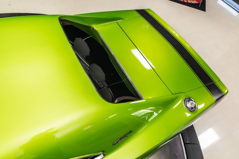 Unknown-Charger-1969-Snakeskin-Green-Black-33