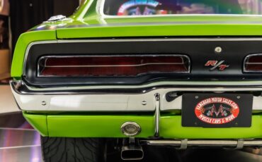 Unknown-Charger-1969-Snakeskin-Green-Black-34