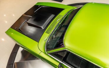 Unknown-Charger-1969-Snakeskin-Green-Black-38