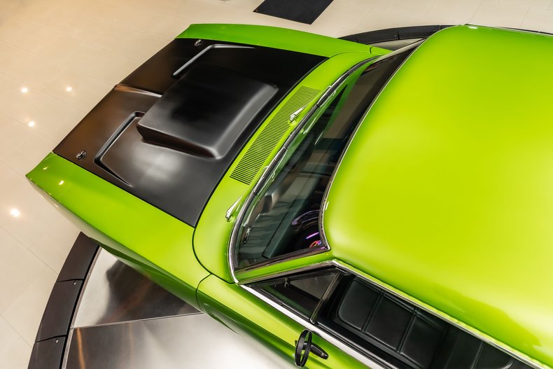 Unknown-Charger-1969-Snakeskin-Green-Black-38