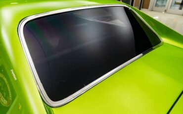 Unknown-Charger-1969-Snakeskin-Green-Black-39