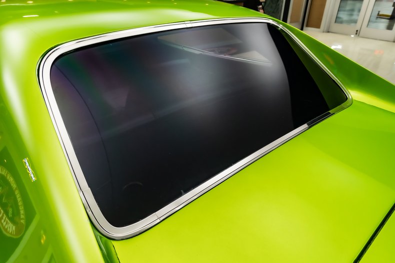 Unknown-Charger-1969-Snakeskin-Green-Black-39