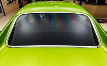 Unknown-Charger-1969-Snakeskin-Green-Black-40