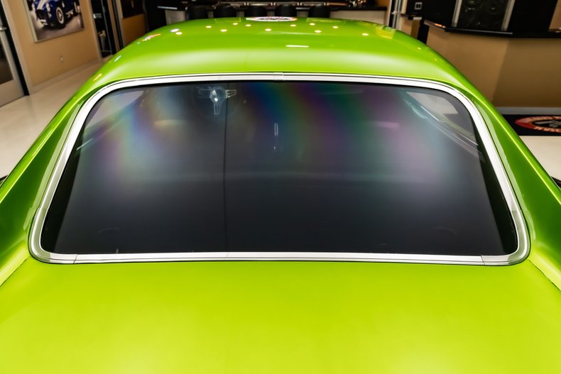 Unknown-Charger-1969-Snakeskin-Green-Black-40