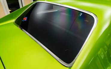 Unknown-Charger-1969-Snakeskin-Green-Black-41
