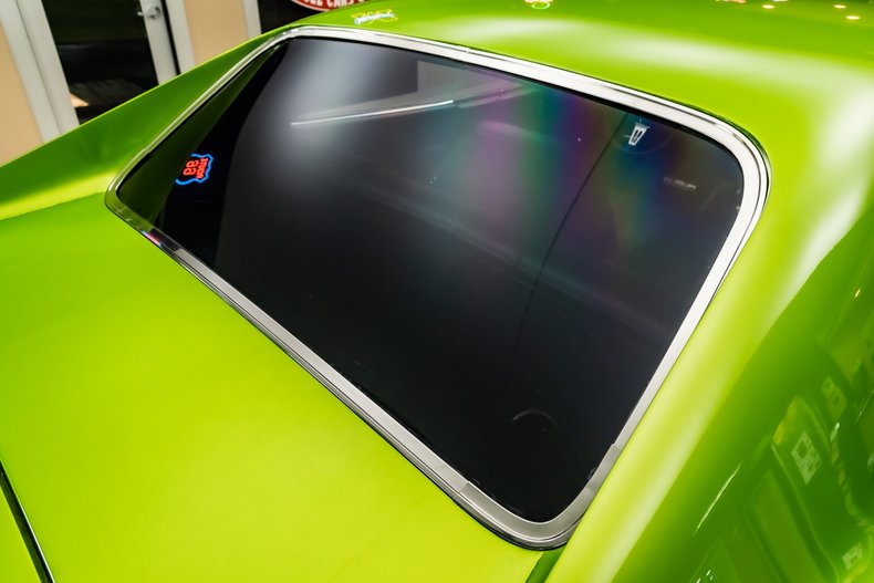 Unknown-Charger-1969-Snakeskin-Green-Black-41