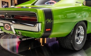 Unknown-Charger-1969-Snakeskin-Green-Black-43