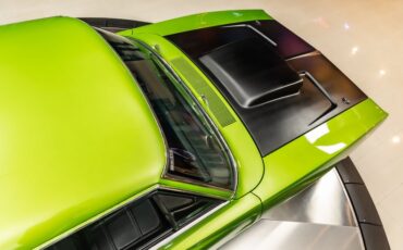 Unknown-Charger-1969-Snakeskin-Green-Black-46