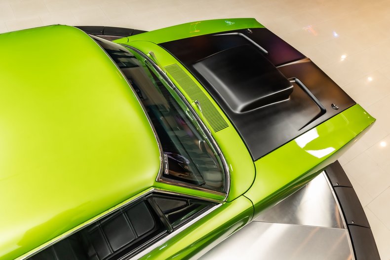 Unknown-Charger-1969-Snakeskin-Green-Black-46