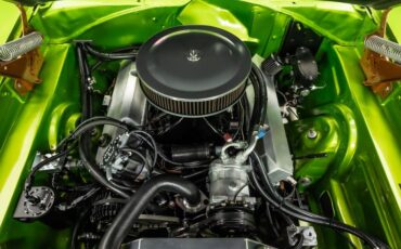 Unknown-Charger-1969-Snakeskin-Green-Black-7
