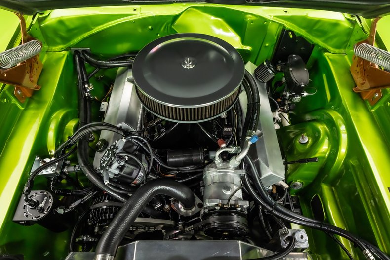 Unknown-Charger-1969-Snakeskin-Green-Black-7