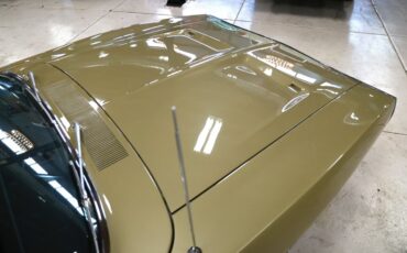 Unknown-Charger-1970-Gold-Black-26