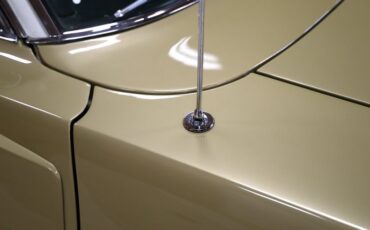 Unknown-Charger-1970-Gold-Black-29