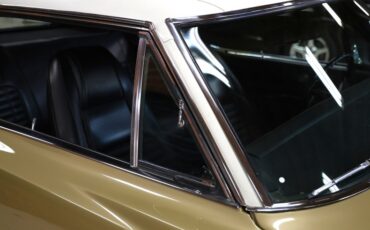 Unknown-Charger-1970-Gold-Black-30