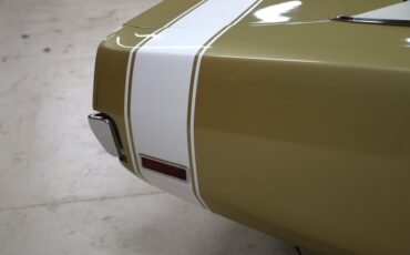 Unknown-Charger-1970-Gold-Black-41