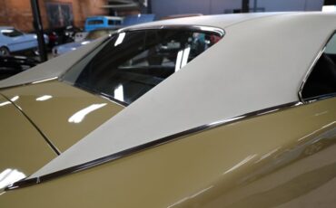 Unknown-Charger-1970-Gold-Black-8