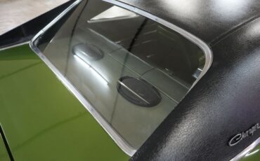 Unknown-Charger-1970-Green-Green-40